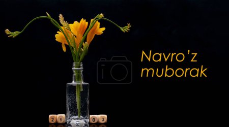 Yellow freesia bouquet in small glass vase on dark backgroundwith date cubes. Navruz postcard concept