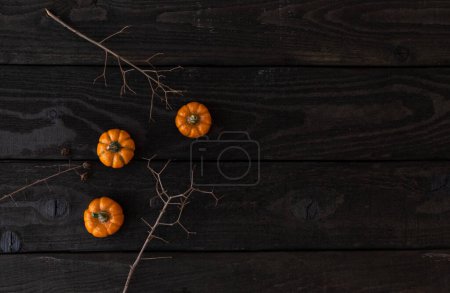 Téléchargez les photos : Citrouilles sur fond bois noir, concept Halloween, Récolte - en image libre de droit