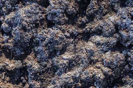 suelo cubierto de textura salina en el desierto de Uzbekistán
