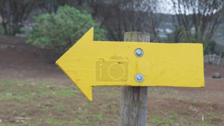 Photo for Directional sign natures path adventure awaits - Royalty Free Image