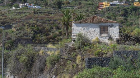 Vintage Canarian cottage, serene hillside tranquility