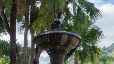 Fuente de piedra en medio de exuberantes palmeras, tranquilo y pintoresco