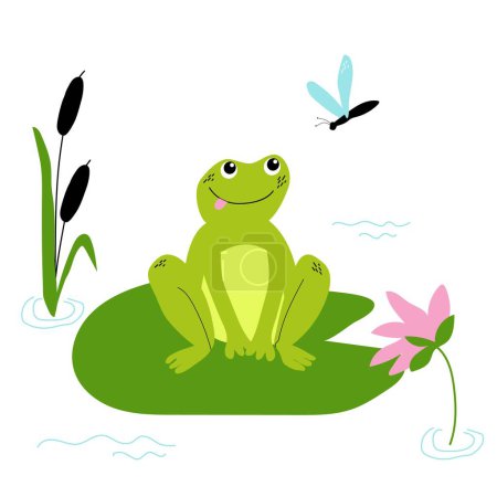 Cute happy frog and dragonfly with lilies and reeds on the pond. Vector children illustration on a white background.