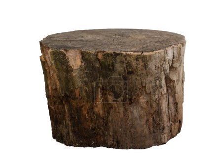 Photo for Empty tree trunk to display products. Isolated on white background. - Royalty Free Image