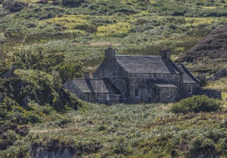 Téléchargez les photos : Petite crosse de pierre grise sur une île reculée entourée de bruyère et de fougère - en image libre de droit