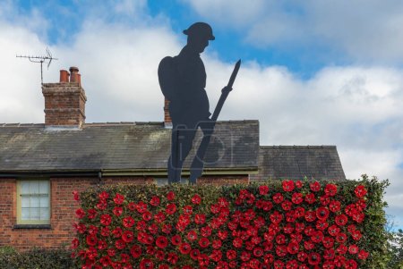 Photo for Northwich, Cheshire, UK - November 10th 2023 - Close up of a hedge covered in poppies and a silhouette of a soilder - Royalty Free Image