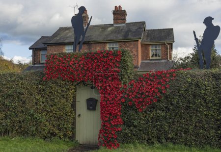 Photo for Northwich, Cheshire, UK - November 10th 2023 - Poppies and soilders made from recycled materials on a hedge and gateway to a house to celebrate armistice day - Royalty Free Image