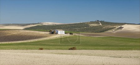 Topographie unique et diversité des sols dans la région de Jerez la Frontera célèbre pour la production de Sherry