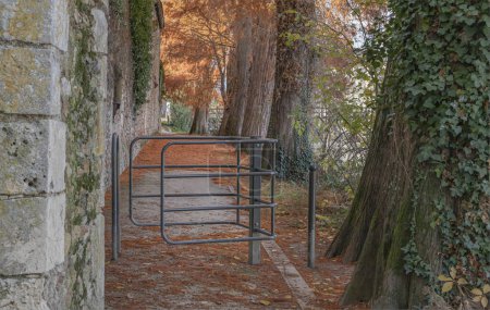 Looking down a pathway in autumn at a gate for a wheelchair access