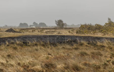 The bogs of Mogcullen where peatclearly showing wherechas been taken from with black gashes on the landscape
