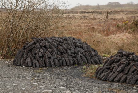 Piles of peat harvested for use in the bogs of Moycullen cut into useable sized blocks