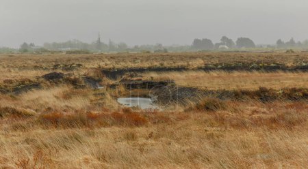 A misty day in the bogs of Mogcullen where peat has been taken from the land and left black marks