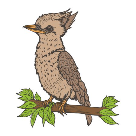 Illustration for Kookaburra bird animal character cartoon vector illustration - Royalty Free Image