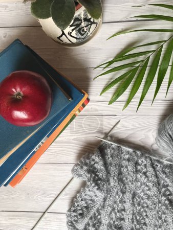 Téléchargez les photos : Une pomme rouge sur des livres près d'une fleur de maison et tricot à partir de fils gris - en image libre de droit
