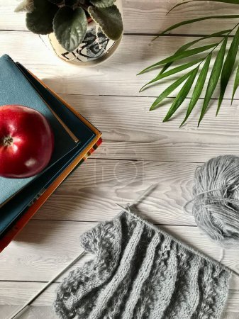 Téléchargez les photos : Une pomme rouge sur des livres près d'une fleur de maison et tricot à partir de fils gris - en image libre de droit