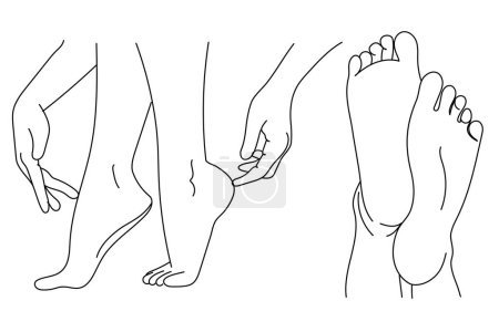 Illustration for Foot care line drawing heels leg woman - Royalty Free Image