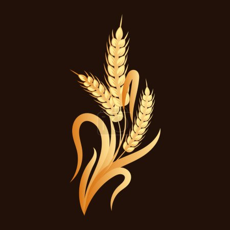 Espiguillas de trigo, centeno, cebada, diseño de oro sobre un fondo oscuro. Elemento decorativo, logotipo, icono, vector