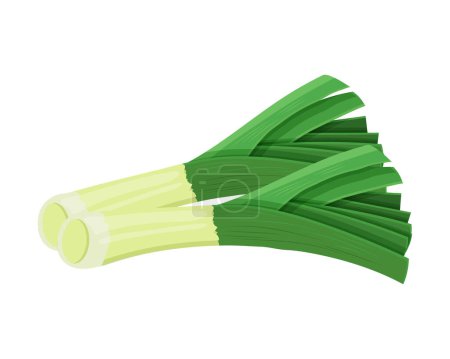 Puerro verde fresco o cebolla perla, verduras, alimentos. Ilustración botánica. Vector