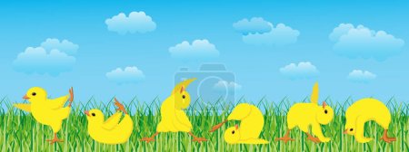 Fröhliche Hühner in Yoga-Pose auf einer Frühlingslandschaft mit Himmel und Wolken. Kinderkarte, Illustration, Vektor.