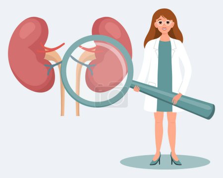 Female doctor with a magnifying glass and a human kidney. Medical diagnosis of the human urinary system, healthcare concept. Illustration, vector