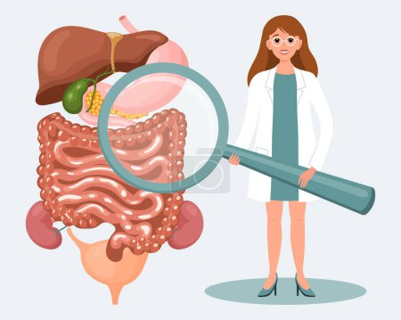 Illustration for Female doctor with magnifying glass and human digestive system. Online medical diagnostics and consultations, healthcare concept. Illustration, vector - Royalty Free Image