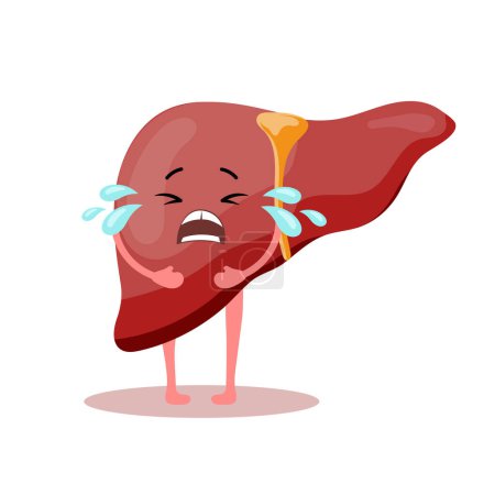 Illustration for Cute cartoon character crying unhealthy human liver. Human anatomy, medical concept. Illustration, icon, vector - Royalty Free Image