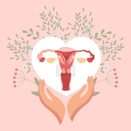 Weibliche Gebärmutter in einem Herzen mit Blumen in den Händen. Medizinisches Poster, Banner, Vektor