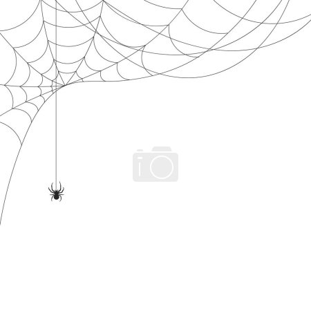 Téléchargez les illustrations : Fond blanc avec toile d'araignée et araignée. Des insectes. Illustration, fond avec espace de copie, vecteur - en licence libre de droit