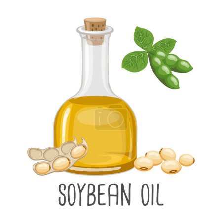 Illustration for Soybean oil, seeds, pods and soybean plant. Soybean seed oil in a bottle. Food. Illustration, vector - Royalty Free Image