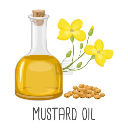 Illustration for Mustard oil, seeds and mustard plant. Vegetable oil from mustard seeds. Illustration, vector - Royalty Free Image