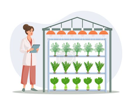 Hydroponic technology for growing plants. Scientist or biologist at hydroponic farm. Vertical farming. Smart farm. Illustration, vector