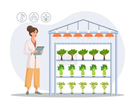 Hydroponic technology for growing plants. Scientist or biotechnologist at hydroponic farm. Vertical farming. Smart farm. Illustration, vector