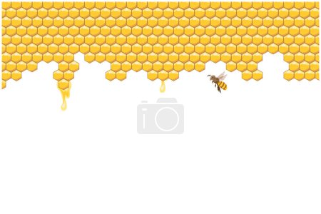 Bienenstock, abstrakte Waben und Bienen auf weißem Hintergrund. Illustration. Vektor