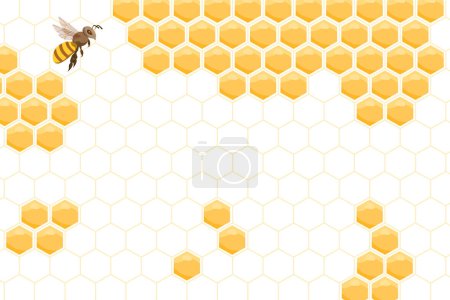 Colmena de abejas, panales abstractos y abejas sobre un fondo blanco. Ilustración. Vector