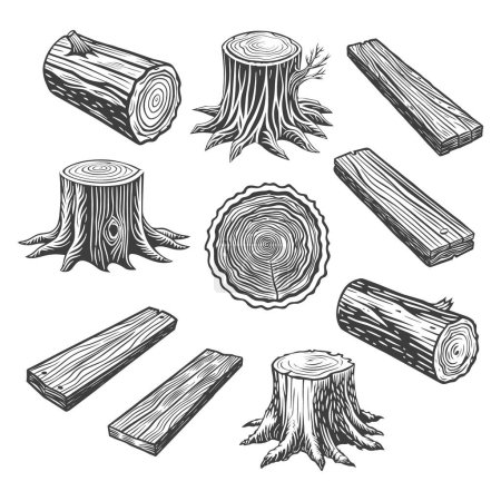 Set of wood logs for forestry and lumber industry. Illustration of trunks, stump and planks. Sketch