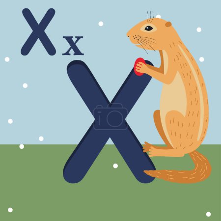 Téléchargez les photos : X pour Xerus ABC TO Z, alphabet animal coloré lettre X avec écrou Xerus African ground squirrel holding nut. Alphabet Lettre X - jardin d'enfants - livre - en image libre de droit