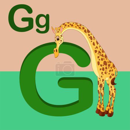 alphabet letter G, G for Giraffe . ABC TO Z , Colorful animal alphabet letter E with an giraffe.