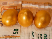 Golden eggs on money. Golden chicken eggs and euro banknotes. Wealth symbol. Savings and investment. t-shirt #632092612