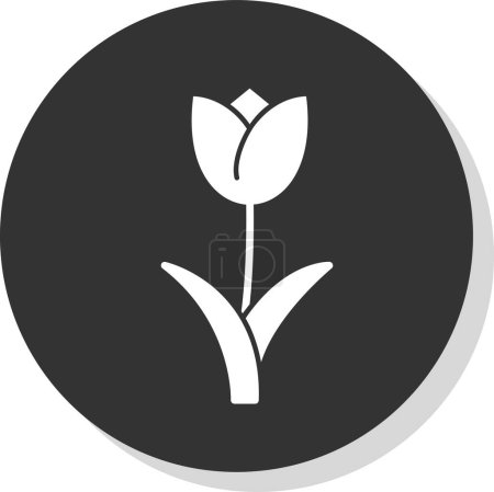 Illustration for Tulip flower  vector illustration on  background - Royalty Free Image