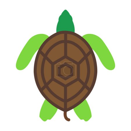 Illustration for Turtle vector icon isolated on white background - Royalty Free Image
