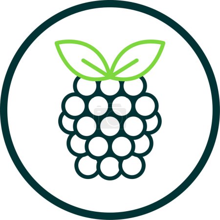 Téléchargez les illustrations : Raspberry fruit icon. vector illustration - en licence libre de droit