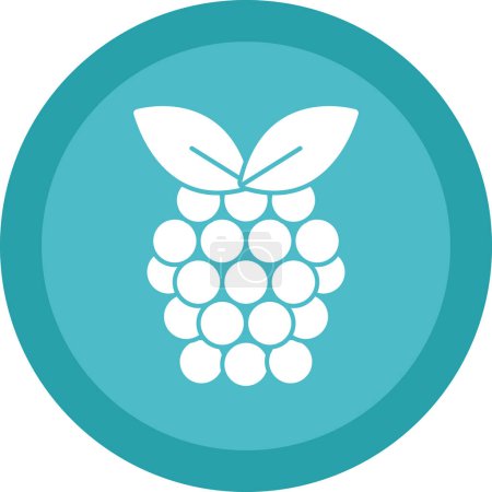 Illustration for Raspberry fruit icon. vector illustration - Royalty Free Image