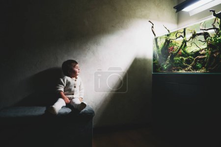 Foto de Un pequeño bebé lindo se sienta en un puf en una habitación oscura y mira el hermoso paisaje acuático de agua dulce con plantas de acuario vivas, piedras Frodo, raíces de color rojizo cubiertas por el musgo java. - Imagen libre de derechos