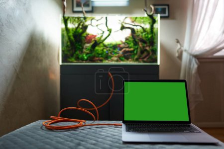 Foto de El acuario conectado al portátil con verde cromakey en la pantalla por el alambre largo anaranjado. Concepto de acuario inteligente. - Imagen libre de derechos