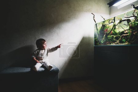 Photo for A small cute surprised baby sits on a pouf in a dark room and points finger at the beautiful freshwater aquascape with live aquarium plants, Frodo stones, redmoor roots covered by java moss. - Royalty Free Image