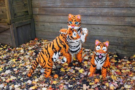 Foto de GRANBY QUEBEC CANADA - 10 19 2022: Tigre en las superpotencias de los animales con más de 30 creaciones monumentales compuestas por millones de ladrillos LEGO. - Imagen libre de derechos