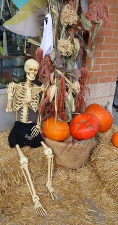 Téléchargez les photos : MONTRÉAL QUÉBEC CANADA - 10 19 2022 : Halloween sculpture effrayant de la décoration du squelette humain - en image libre de droit