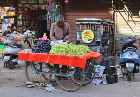 Photo for DELHI INDIA - 02 12 2023: Street vendor in delhi selling his produce - Royalty Free Image