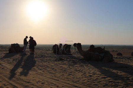 Téléchargez les photos : Coucher de soleil dans le désert de Thar au Rajasthan Inde - en image libre de droit