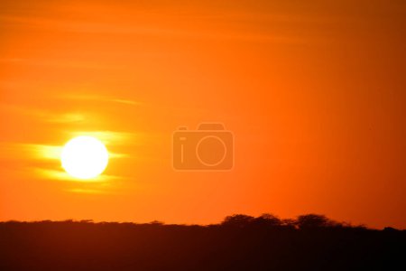 Photo for Thar desert at sunset in Jaisalmer, Rajasthan, India - Royalty Free Image